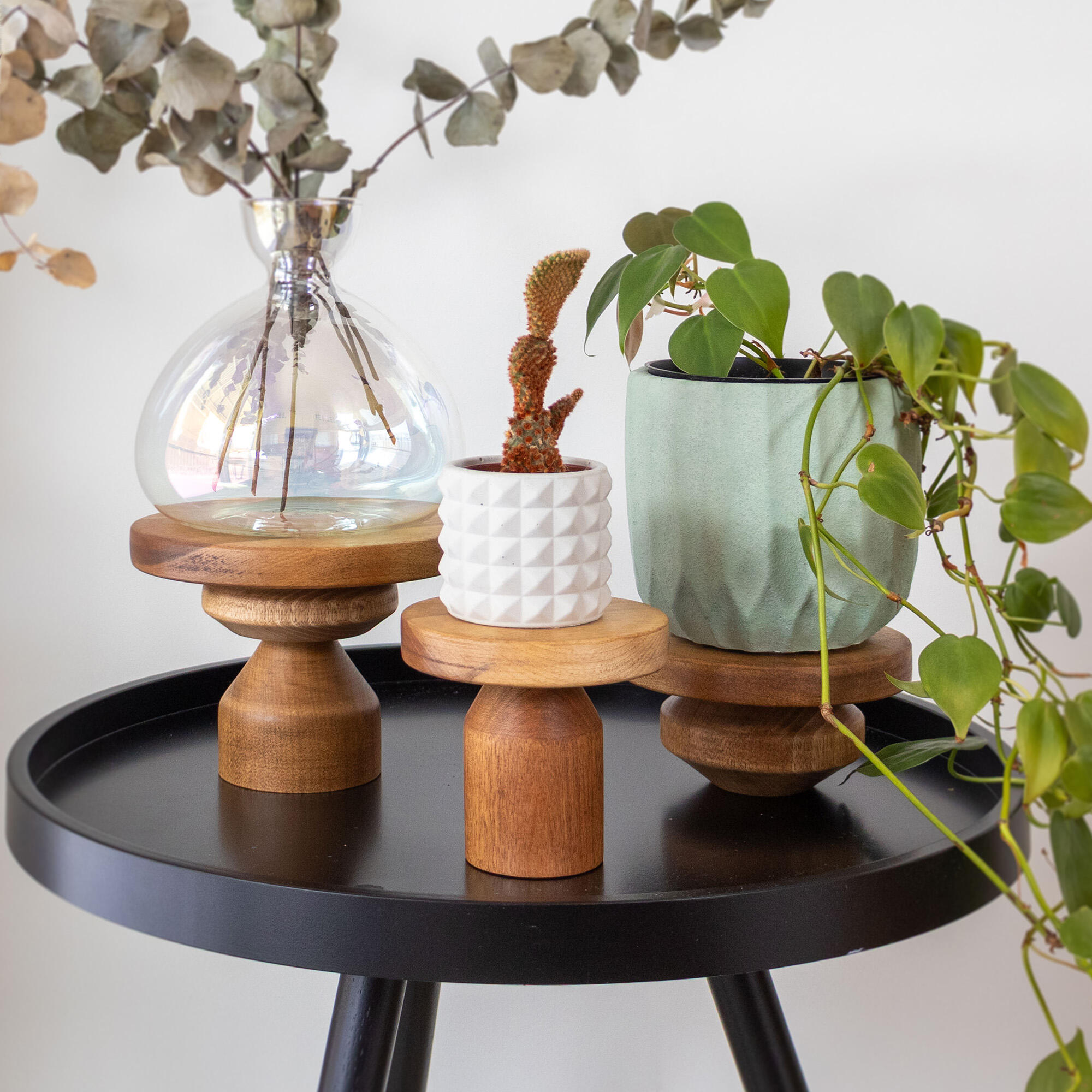 7 piece birch wood display set on a white background on a black table with planters on them.