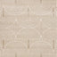 Leo Rug - Geometric Arches sample