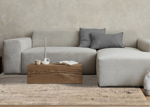 Zola Distressed Rug - Beige Cream in living room setting