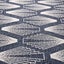 Vista Indoor / Outdoor Rug - Shells video