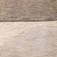 Cora Rug - Taupe Beige Curves video